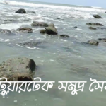 পাটুয়ারটেক সমুদ্র সৈকত